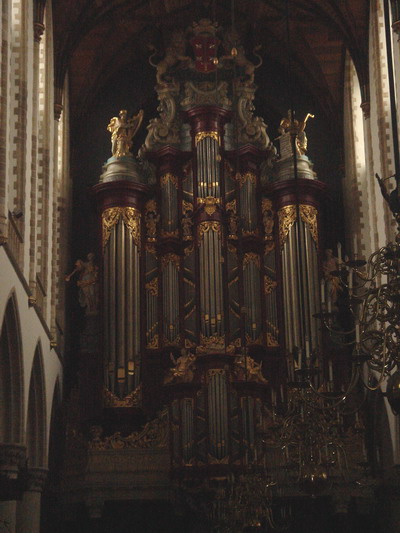 organ